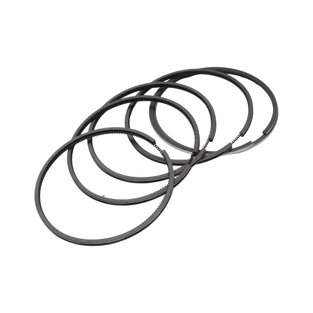 Dvigatel uchun porshen halqalari D=135mm 6135AG QS9000 - 2